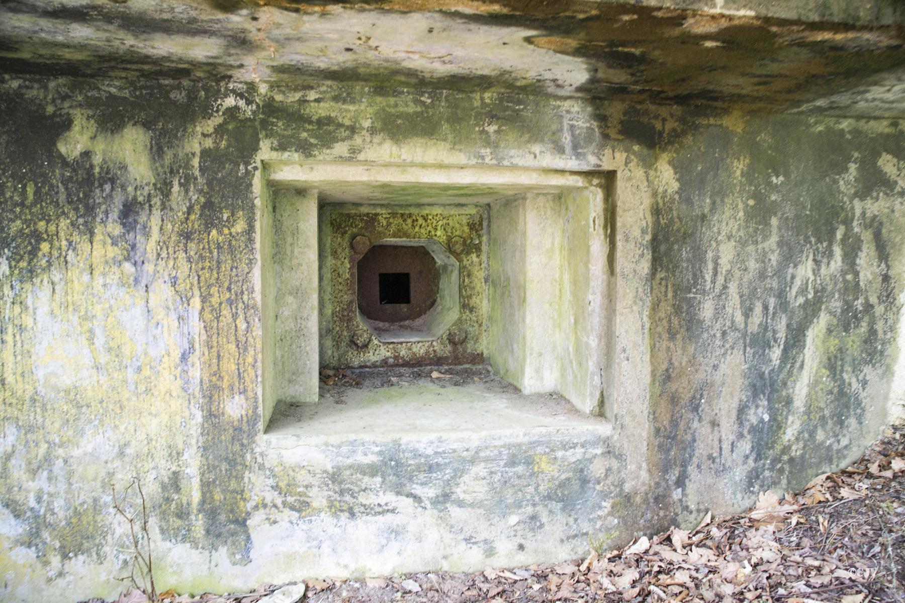Ligne Maginot - GLASBRONN 2 - (Blockhaus pour arme infanterie) -  - Lia VERMEULEN