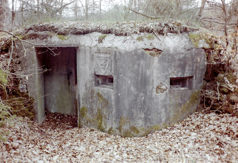 Ligne Maginot - GLASBRONN 2 - (Blockhaus pour arme infanterie) -  - Alain Perouffe