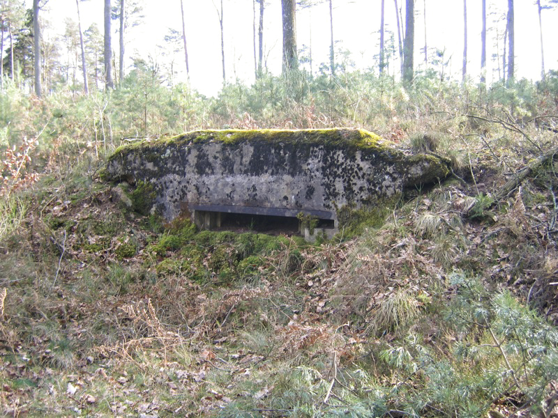 Ligne Maginot - GRAFENWEIHER 2 (Blockhaus pour canon) -  - Antoine SCHOEN