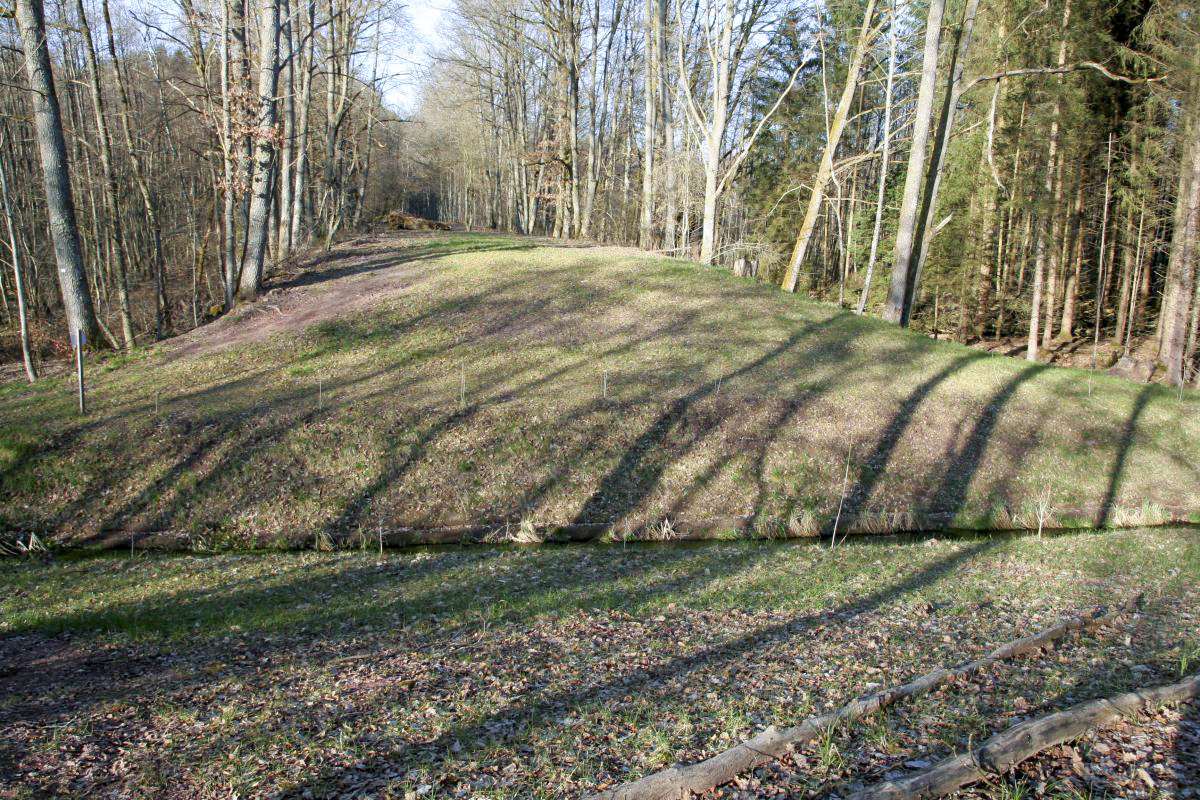 Ligne Maginot - GRAFENWEIHER Centre (Barrage 06) (Inondation défensive) - Etat après les travaux de 2014 - Benoit HENRICH
