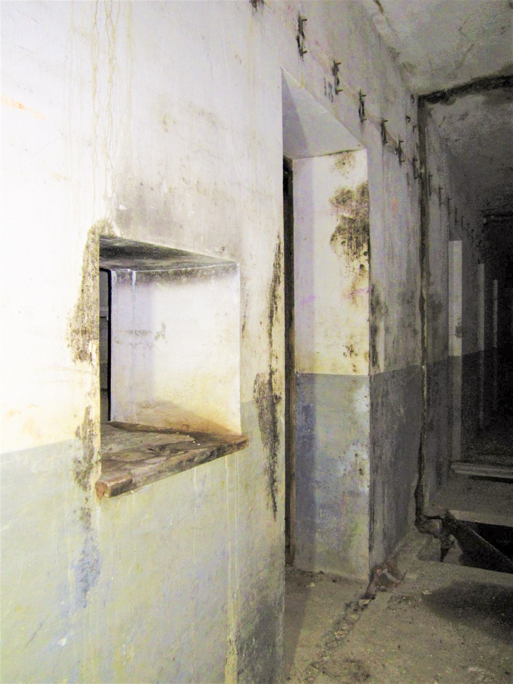 Ligne Maginot - HOFFEN - (Abri) - Entrée de la cuisine - Gregory Fuchs
