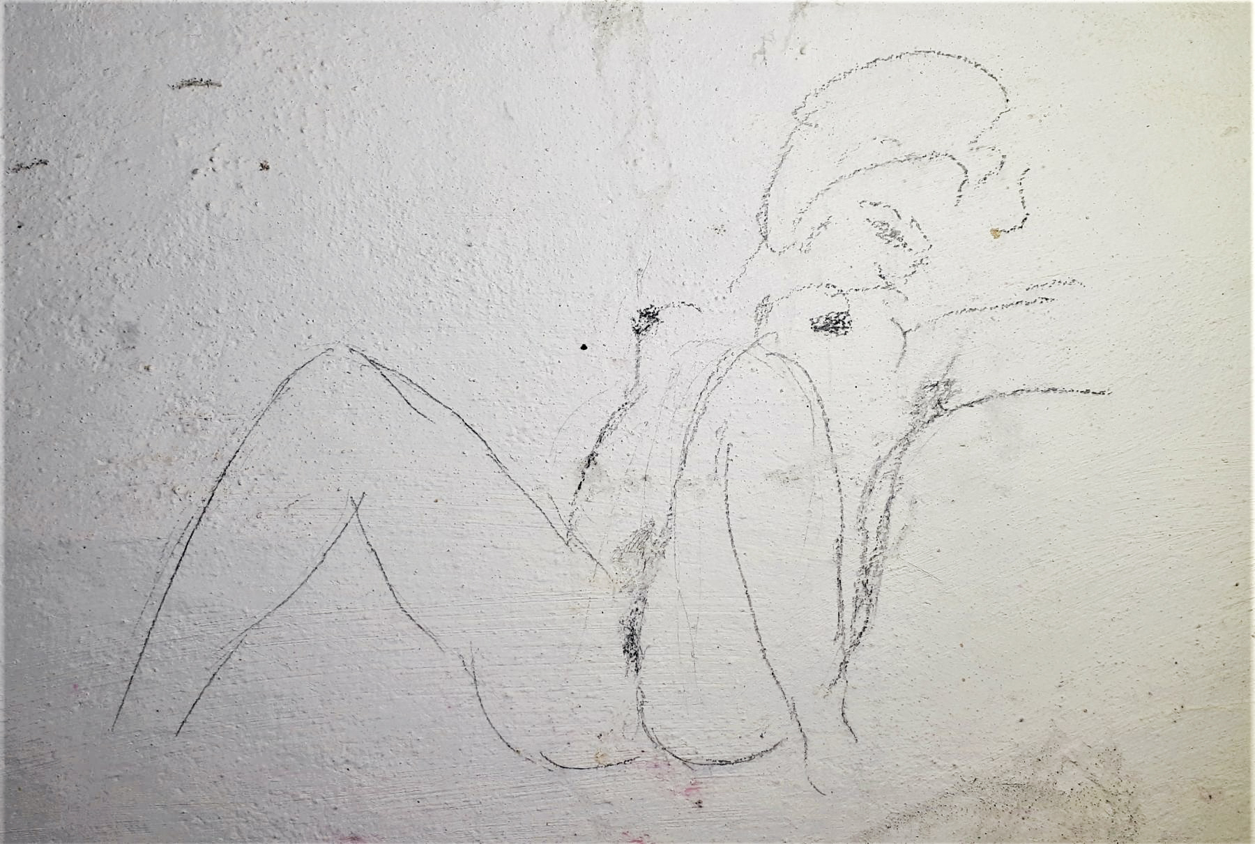 Ligne Maginot - HOFFEN - (Abri) - Chambre de troupe n°19
Graffiti - Gregory Fuchs