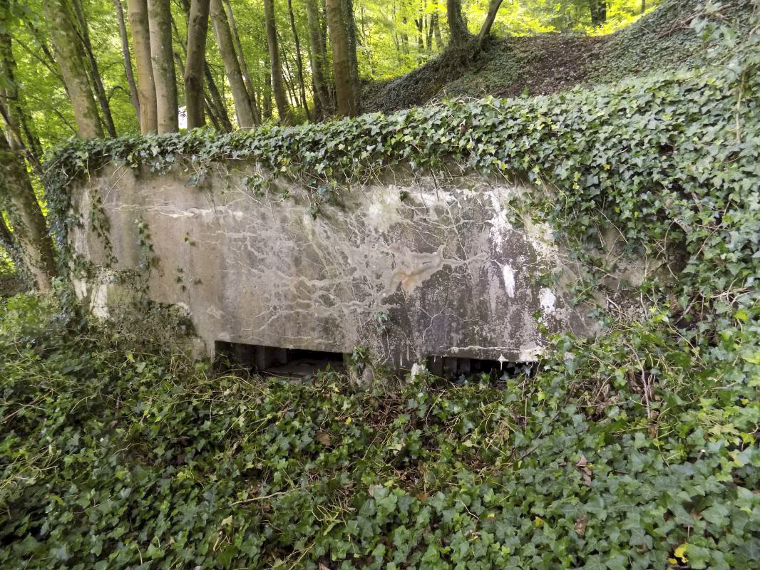 Ligne Maginot - Blockhaus Bb59-B - BOIS de l'HERMITAGE Nord - Face frontale - R Tucler