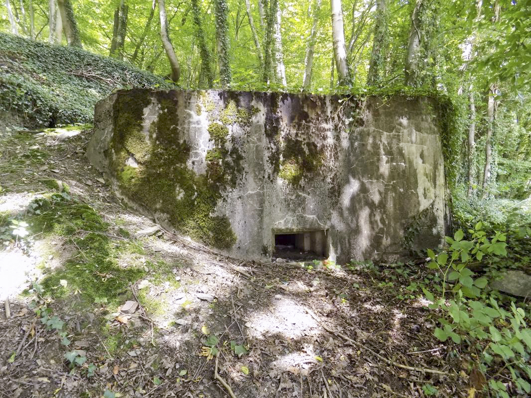 Ligne Maginot - Blockhaus Bb59-B - BOIS de l'HERMITAGE Nord - Face droite - R Tucler