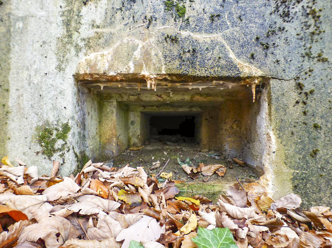 Ligne Maginot - Blockhaus - Bb59-B - Bois de l'Ermitage Nord -  - JMBrams