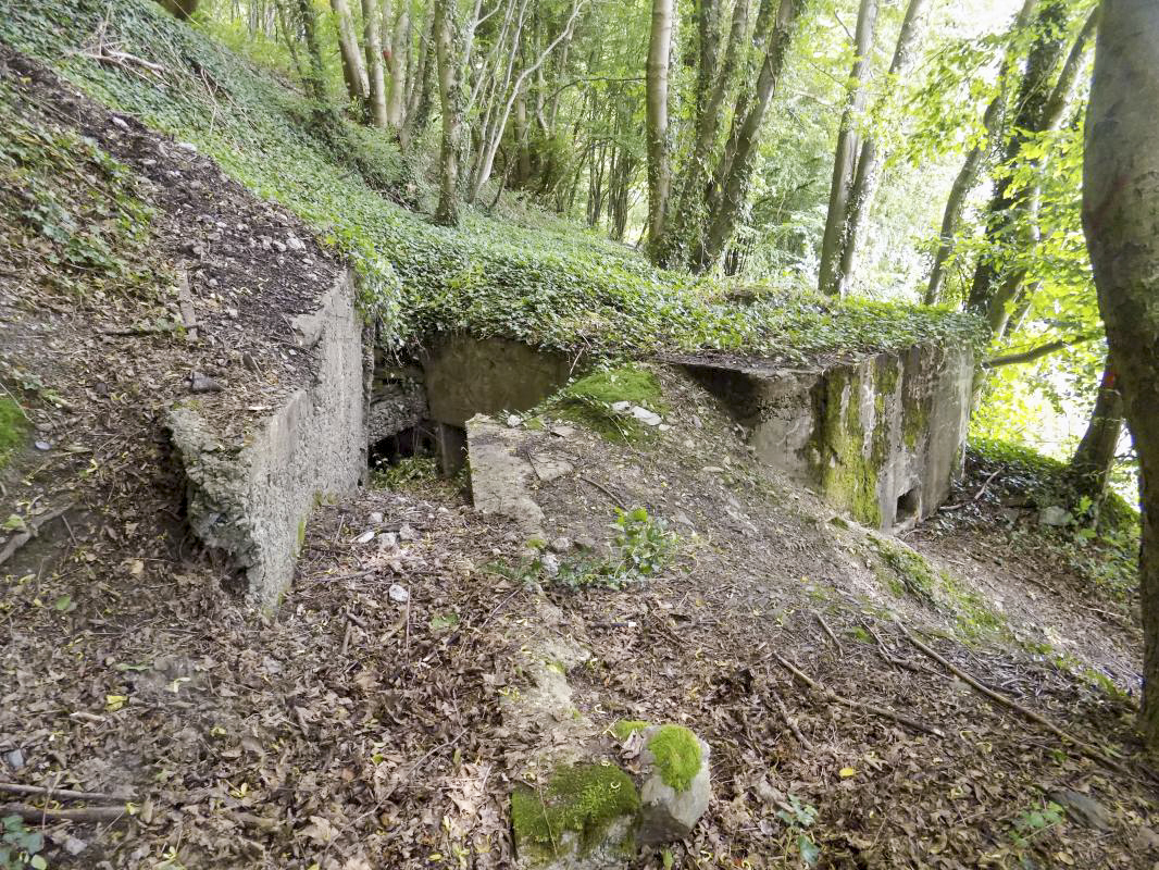 Ligne Maginot - Blockhaus Bb59-B - BOIS de l'HERMITAGE Nord - L'arrière et face droite - R Tucler