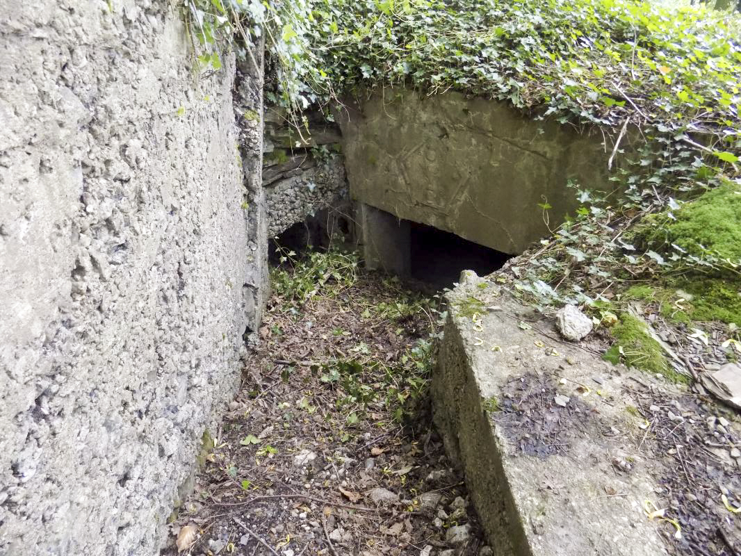 Ligne Maginot - Blockhaus Bb59-B - BOIS de l'HERMITAGE Nord - L'entrée - R Tucler