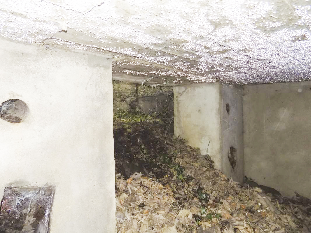 Ligne Maginot - Blockhaus Bb59-B - BOIS de l'HERMITAGE Nord - L'entrée - R Tucler