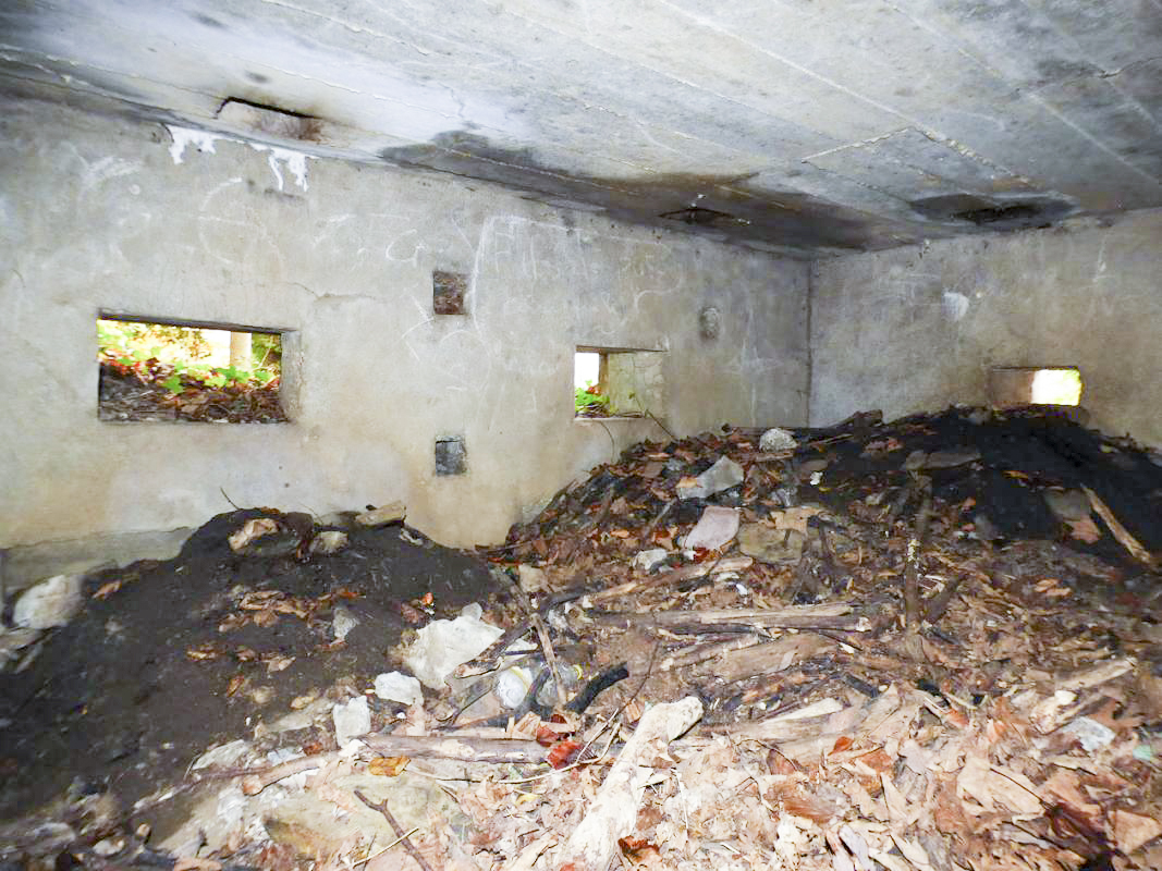 Ligne Maginot - Blockhaus - Bb59-B - Bois de l'Ermitage Nord -  - JMBrams