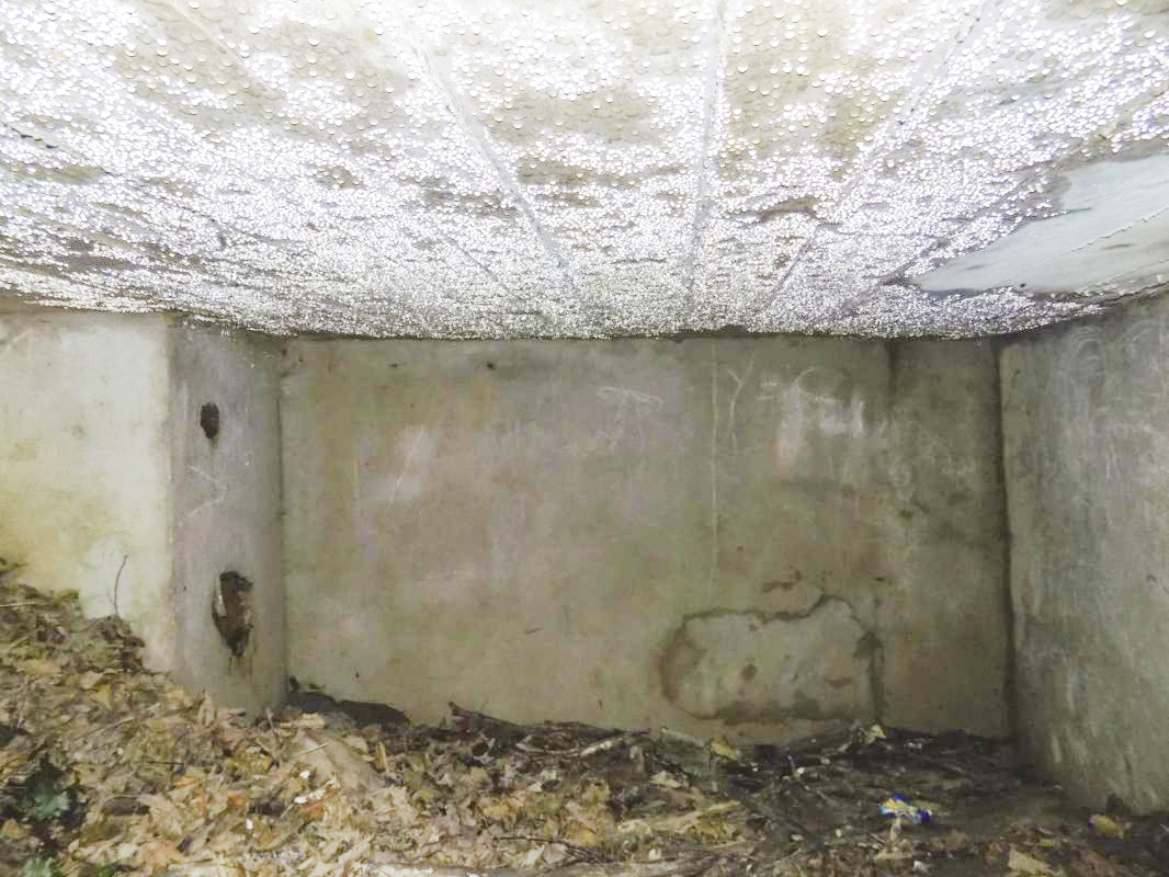 Ligne Maginot - Blockhaus Bb59-B - BOIS de l'HERMITAGE Nord - Face gauche - R Tucler
