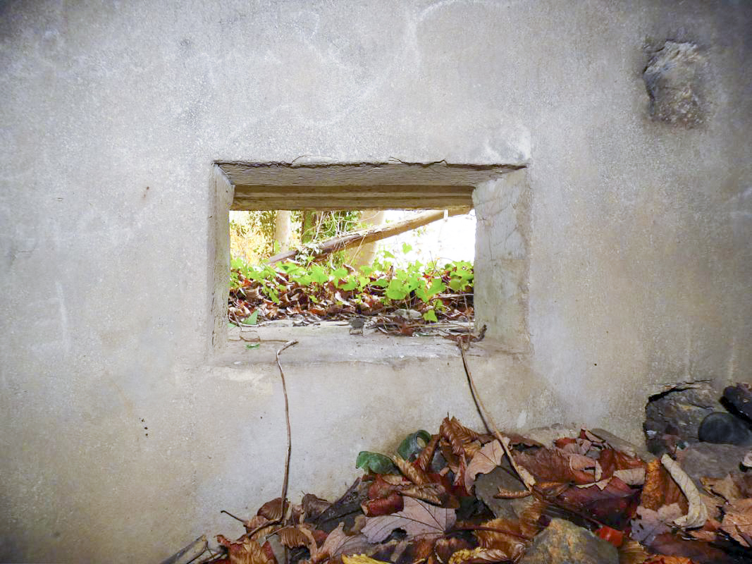 Ligne Maginot - Blockhaus - Bb59-B - Bois de l'Ermitage Nord -  - JMBrams