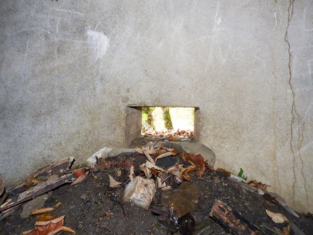 Ligne Maginot - Blockhaus - Bb59-B - Bois de l'Ermitage Nord -  - JMBrams