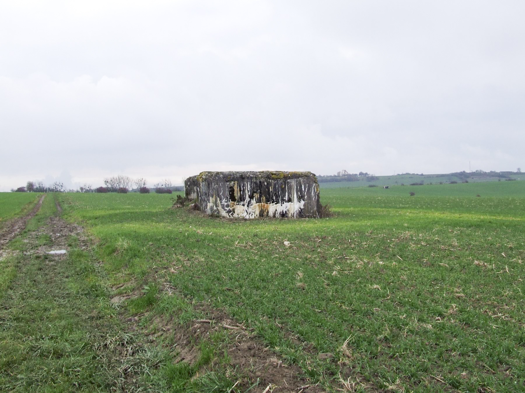 Ligne Maginot - AB2-D - ITINGERSLOCH NORD - (Blockhaus de type indéterminé) - Le blockhaus d'Iltingersloch Nord - STENGER Mathieu
