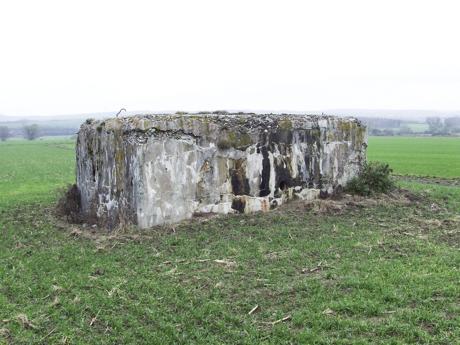 Ligne Maginot - AB2-D - ITINGERSLOCH NORD - (Blockhaus de type indéterminé) - L'entrée est remblayée - STENGER Mathieu