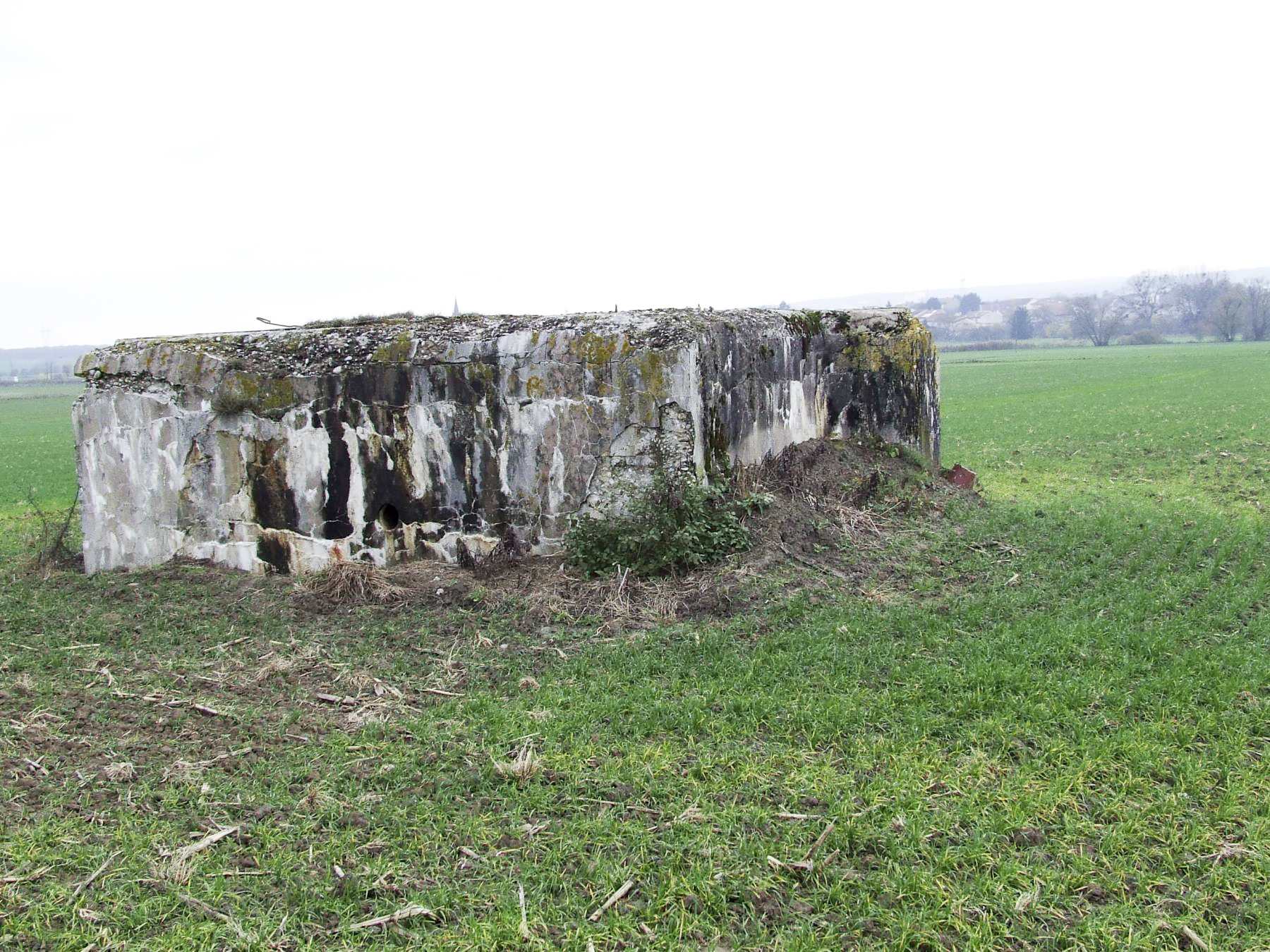 Ligne Maginot - AB2-D - ITINGERSLOCH NORD - (Blockhaus de type indéterminé) - La façade de tir remblayée. - STENGER Mathieu