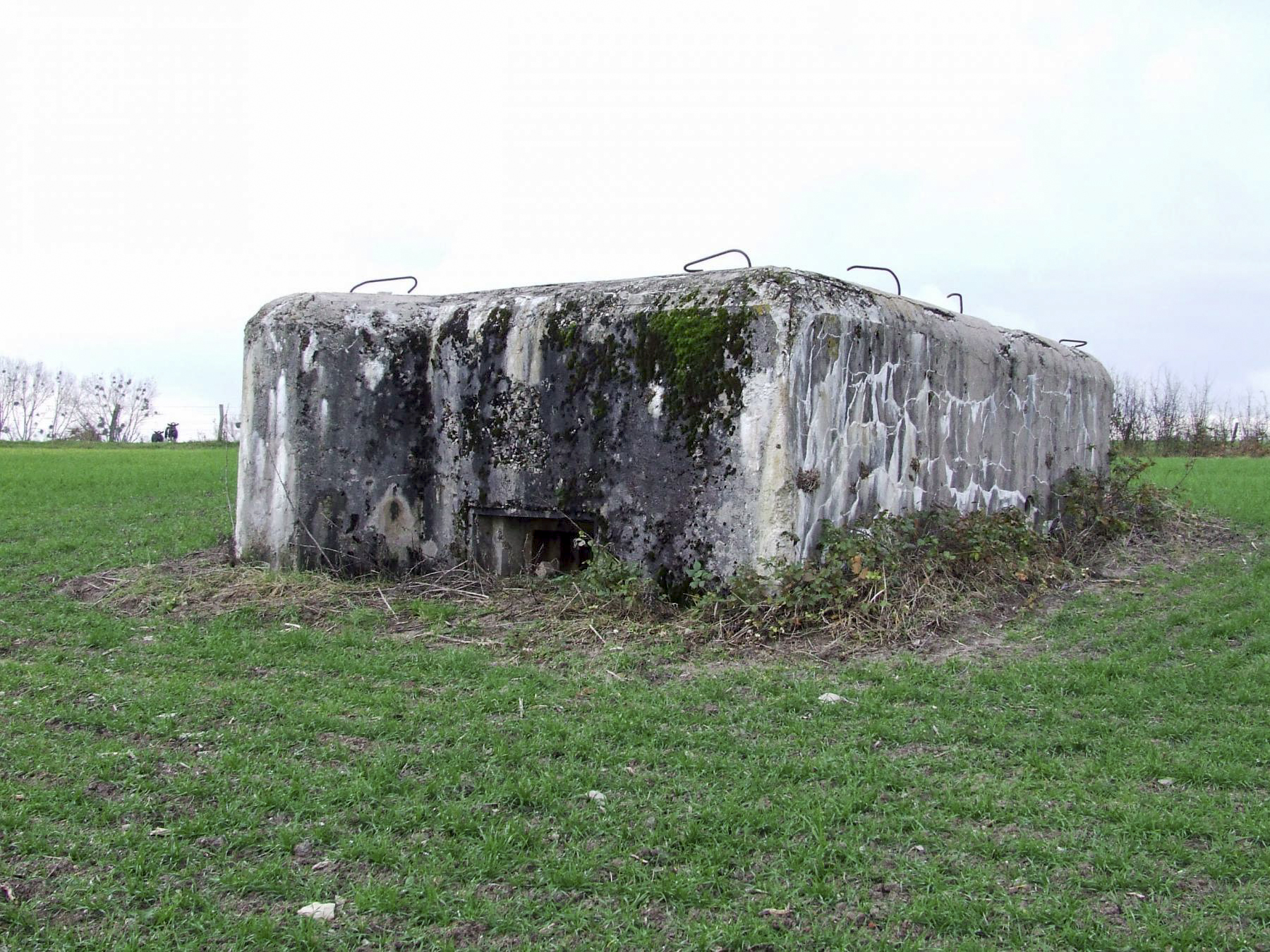 Ligne Maginot - AB2-DBIS - ITINGERSLOCH SUD - (Blockhaus pour arme infanterie) - La façade de tir - STENGER Mathieu