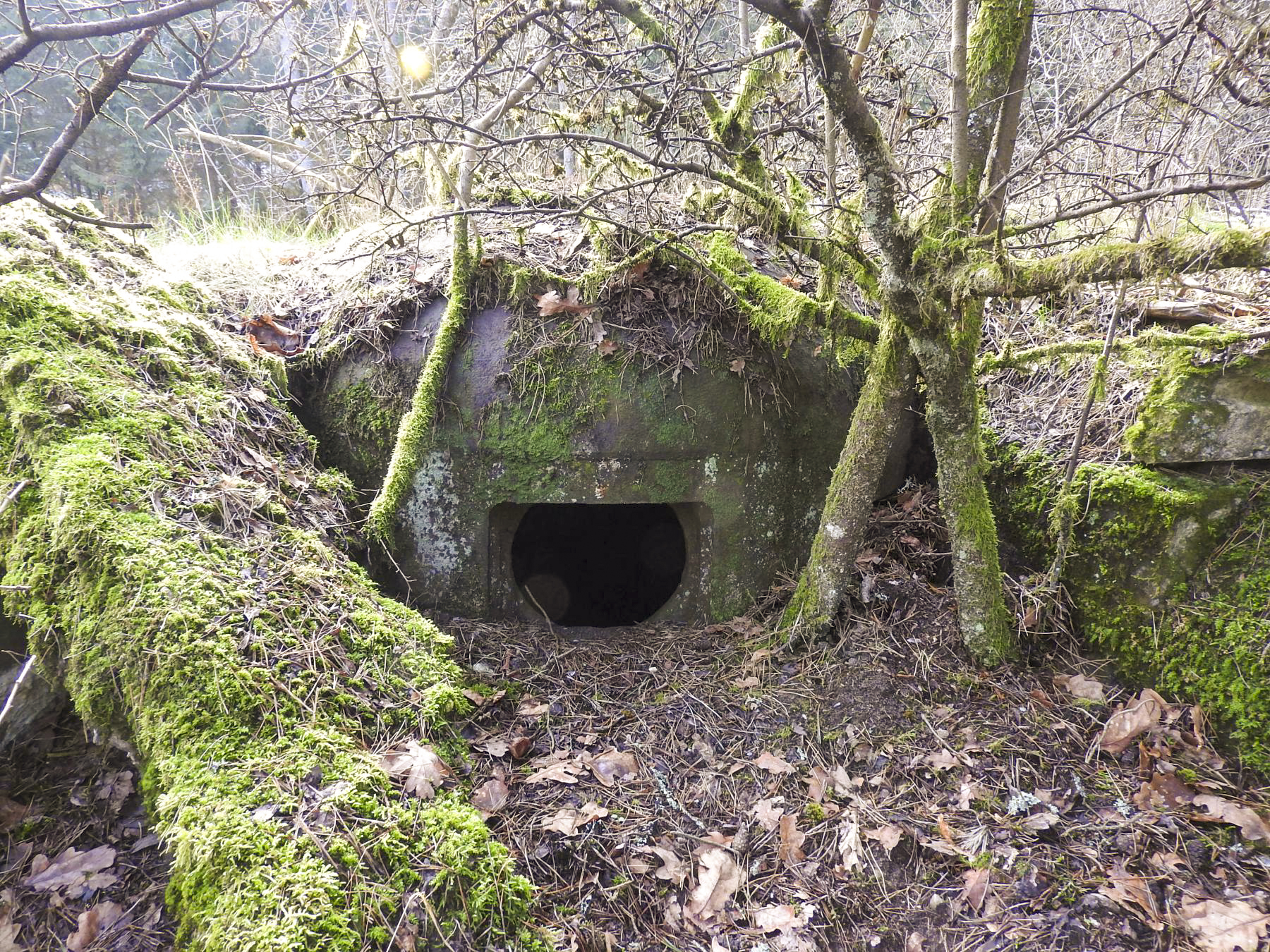 Ligne Maginot - GRAFENWEIHER EST - (Casemate d'infanterie - Simple) - La cloche JM - STENGER Mathieu