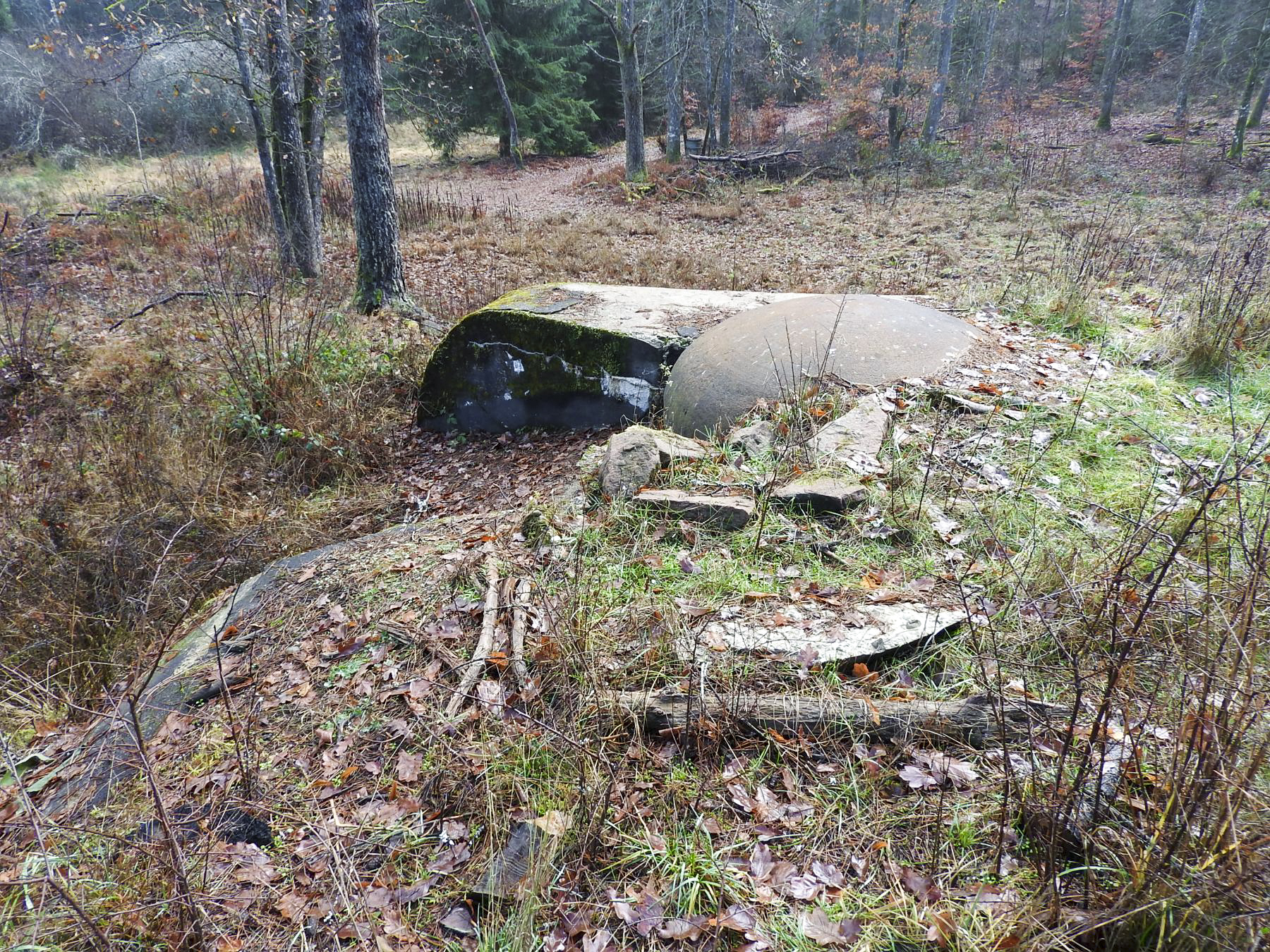 Ligne Maginot - GRAFENWEIHER EST - (Casemate d'infanterie - Simple) - La cloche JM bien dégagée - STENGER Mathieu
