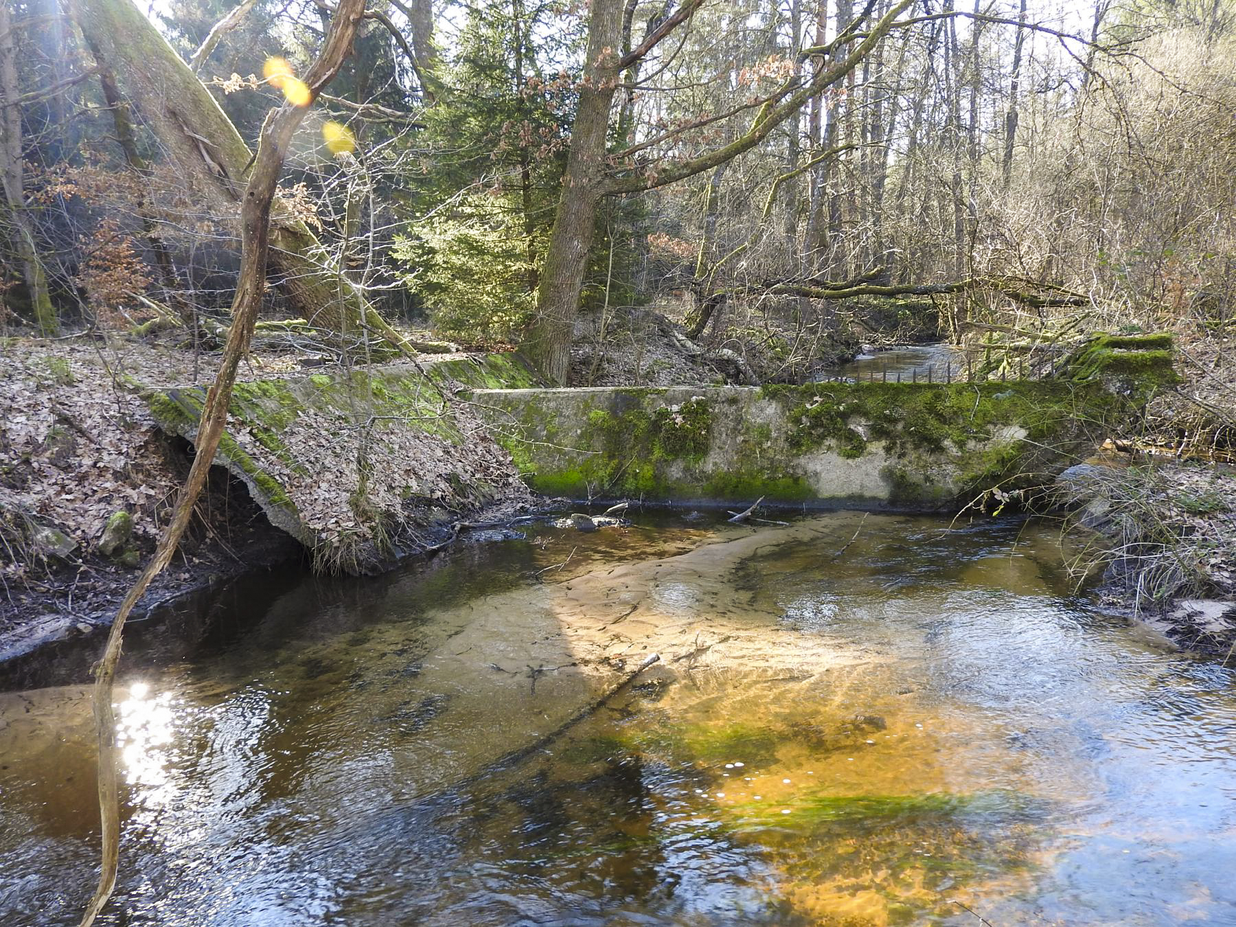 Ligne Maginot - GRAFENWEIHER Centre (Barrage 06) - (Inondation défensive) - Le seuil dans le Schwarzbach en avant de la casemate de Grafenweiher Est - STENGER Mathieu