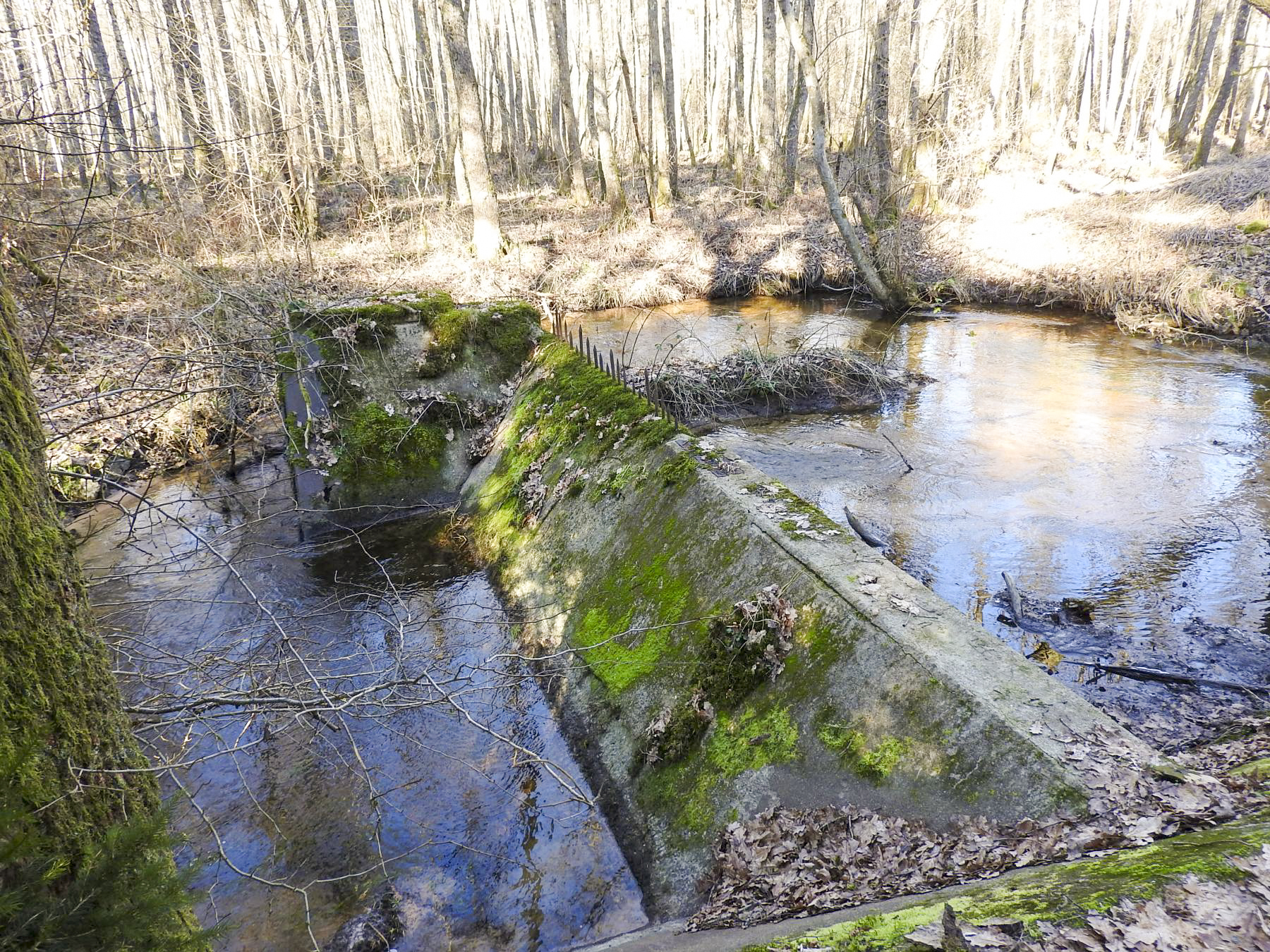 Ligne Maginot - GRAFENWEIHER Centre (Barrage 06) - (Inondation défensive) - Le seuil dans le Schwarzbach en avant de la casemate de Grafenweiher Est - STENGER Mathieu