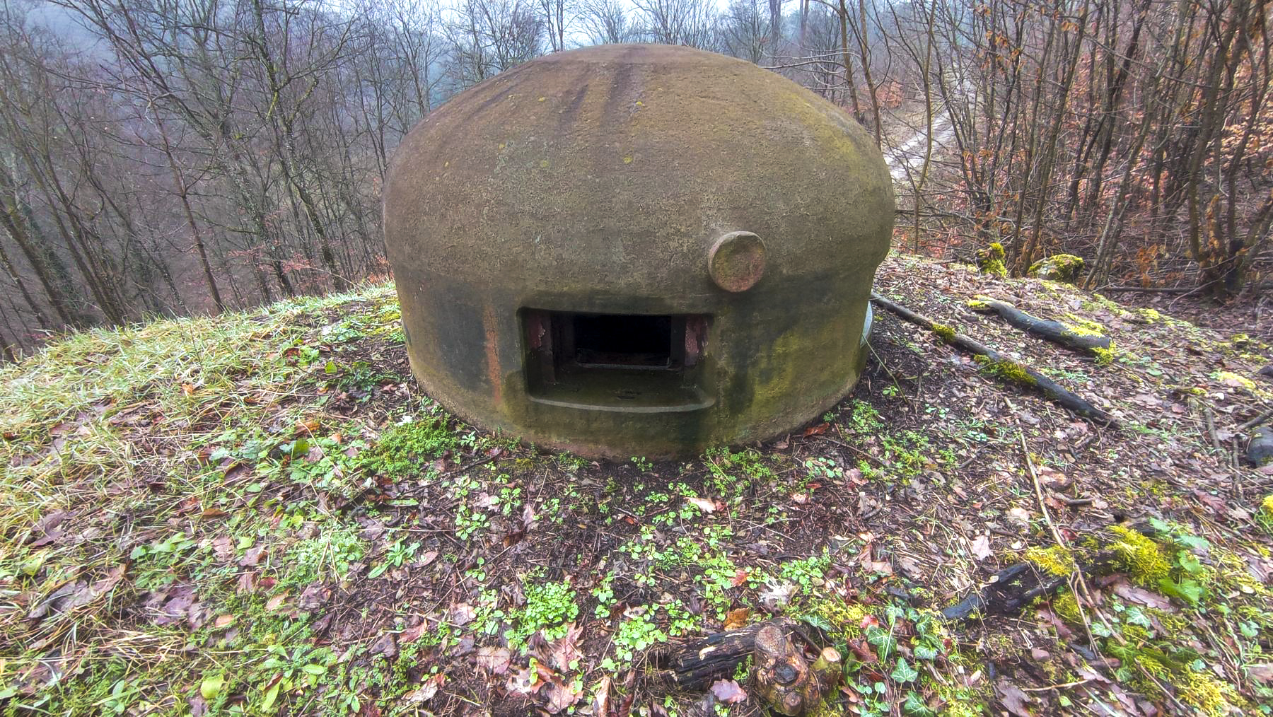 Ligne Maginot - REYERSVILLER - (Abri) - Cloche GFM du coffre Ouest - Baptiste GAUDIN