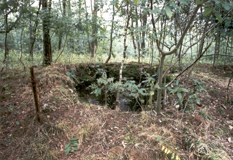 Ligne Maginot - Observatoire du FREUDENBERG - Emplacement de la cloche VP ferraillée - Antoine SCHOEN
