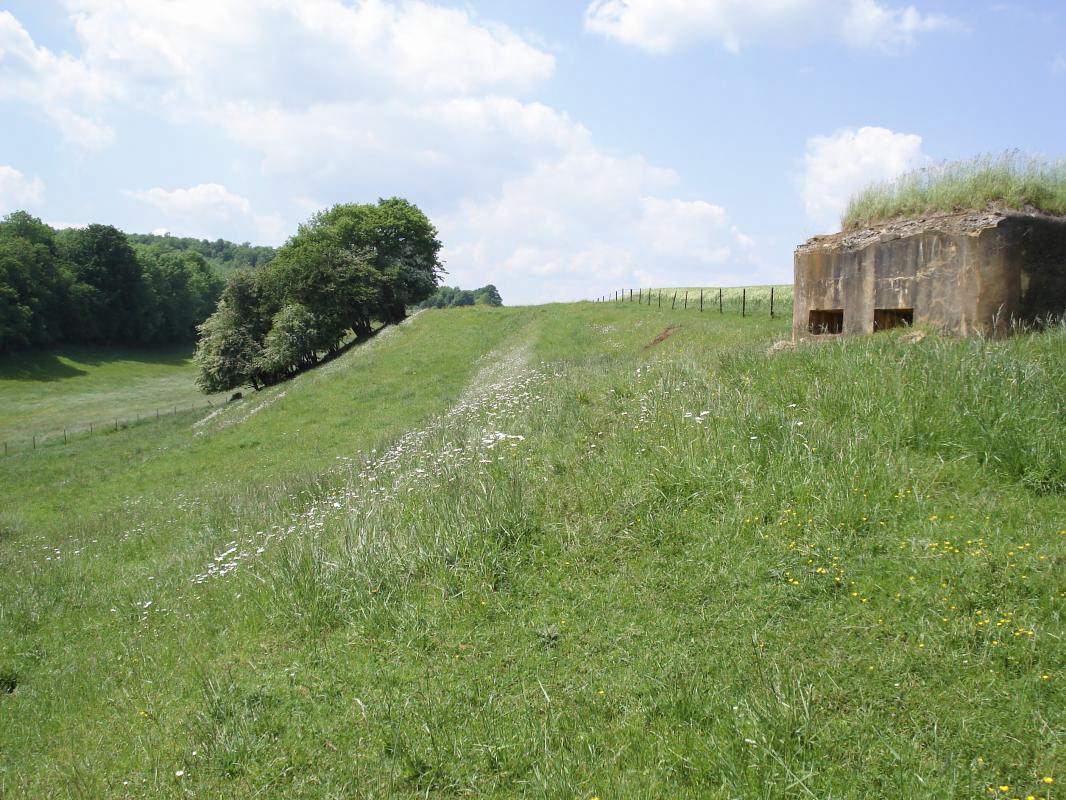 Ligne Maginot - 75BIS - POTINVAUX - (Blockhaus pour arme infanterie) - Vue vers l'ouvrage du Chesnois - R Tucker
