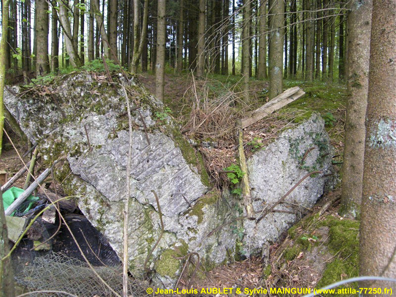 Ligne Maginot - SCHMELTZBACH OUEST - (Casemate d'infanterie - Simple) -  - Jean-Louis AUBLET & Sylvie MAINGUIN
