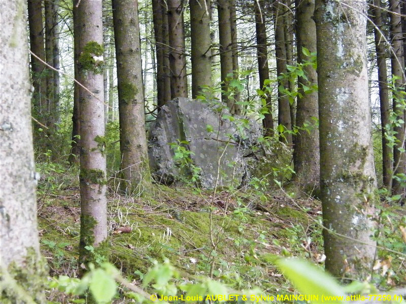 Ligne Maginot - SCHMELTZBACH OUEST - (Casemate d'infanterie - Simple) -  - Jean-Louis AUBLET & Sylvie MAINGUIN