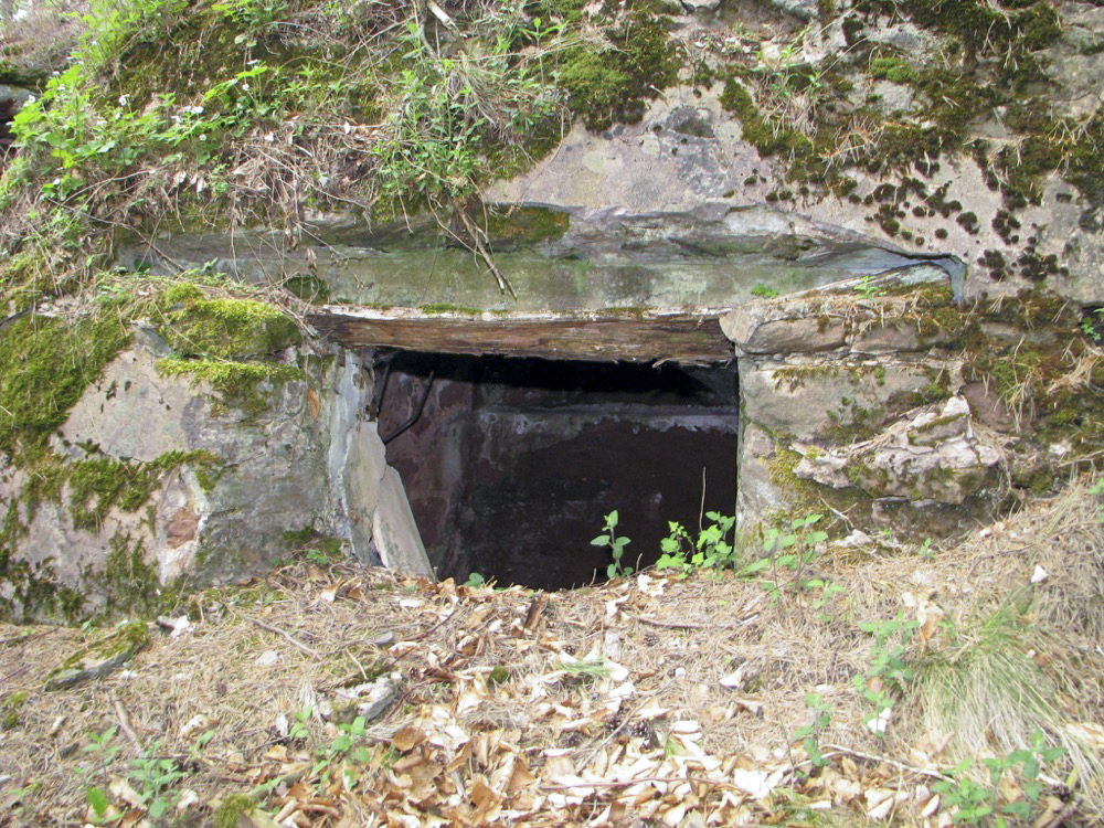 Ligne Maginot - HANAU -  - Antoine SCHOEN