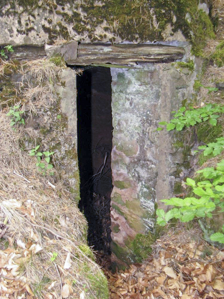 Ligne Maginot - HANAU -  - Antoine SCHOEN