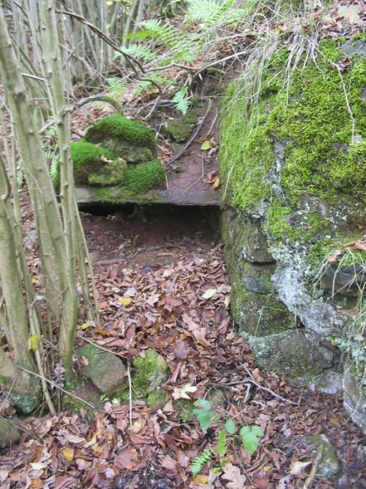 Ligne Maginot - HEILLINGEN DELL - (Blockhaus pour arme infanterie) - Entrée du blockhaus - Antoine SCHOEN