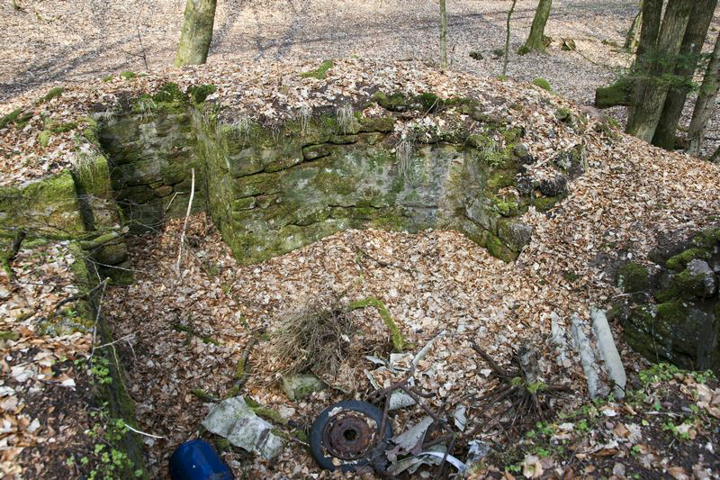 Ligne Maginot - KANDELBERG SUD - (Blockhaus pour arme infanterie) -  - GRUBER Franck