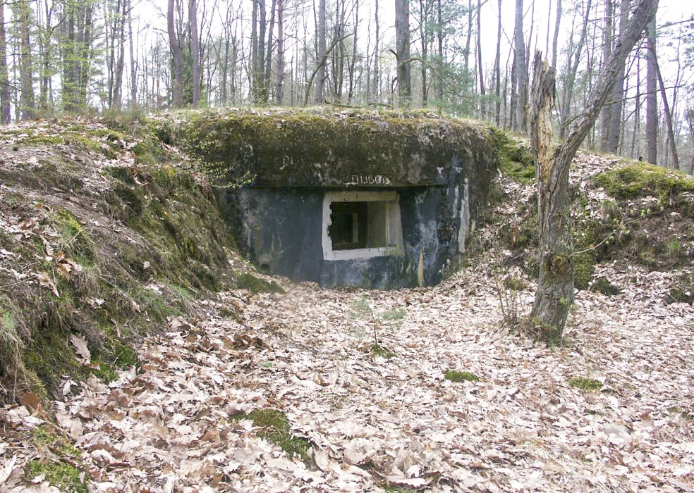Ligne Maginot - MAIN DU PRINCE 1 - (Blockhaus pour canon) - Façade frontale du blockhaus 
Les remblais de protection sont bien visibles - Pascal LAMBERT