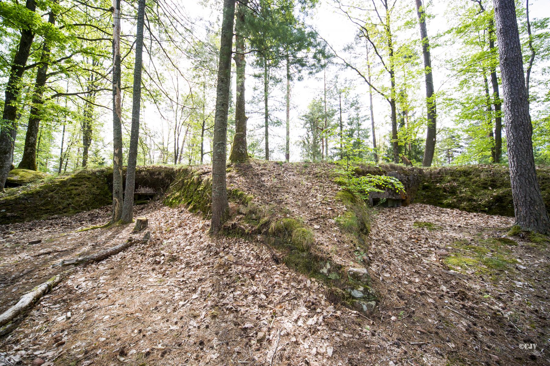 Ligne Maginot - MAIN du PRINCE 2 (Blockhaus pour arme infanterie) - Les deux blockhaus pour mitrailleuse avec leurs talus de protection en pierres sèches  - Lia VERMEULEN