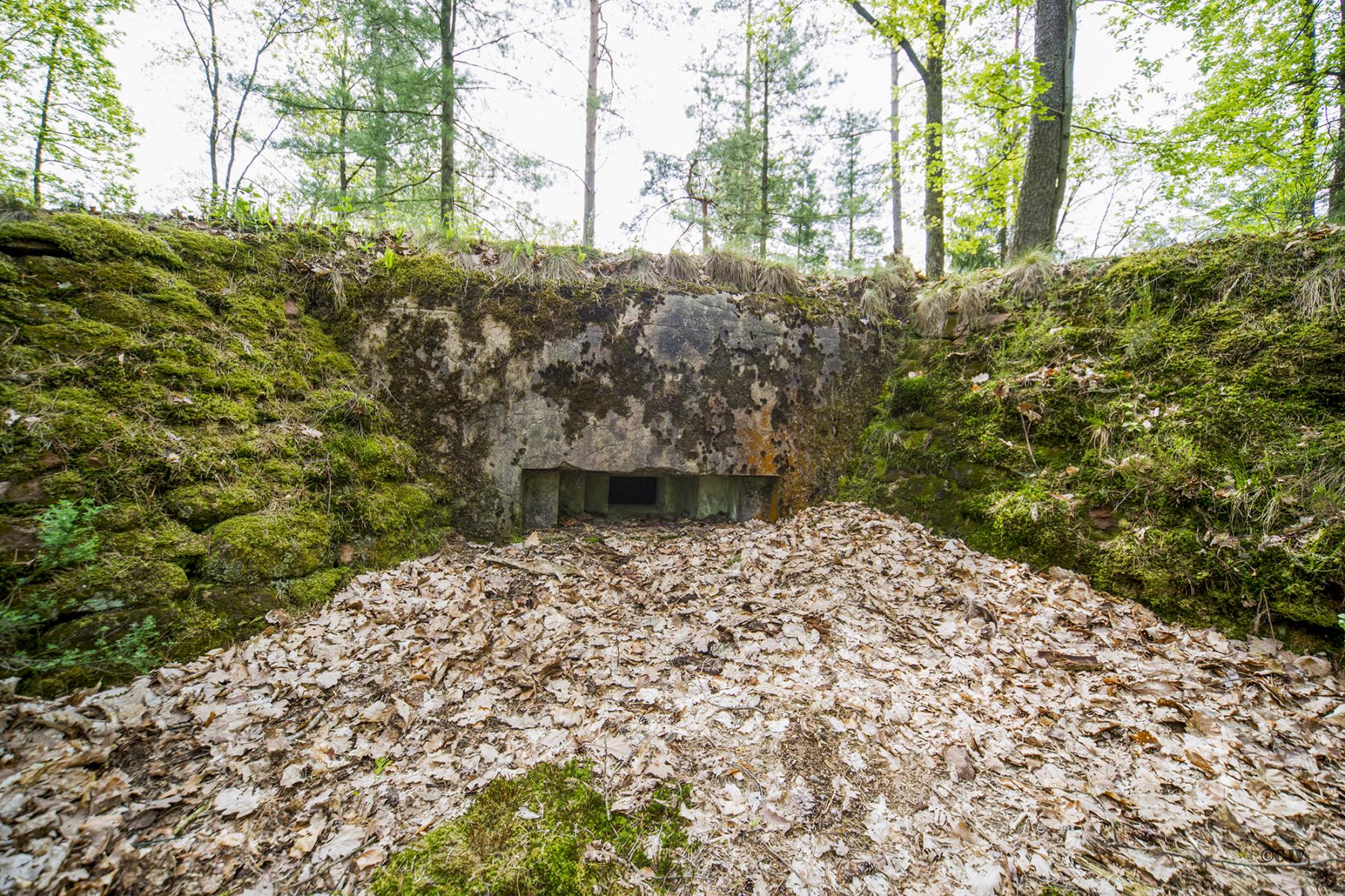 Ligne Maginot - MAIN du PRINCE 2 (Blockhaus pour arme infanterie) - Blockhaus mitrailleuse de gauche - Lia VERMEULEN