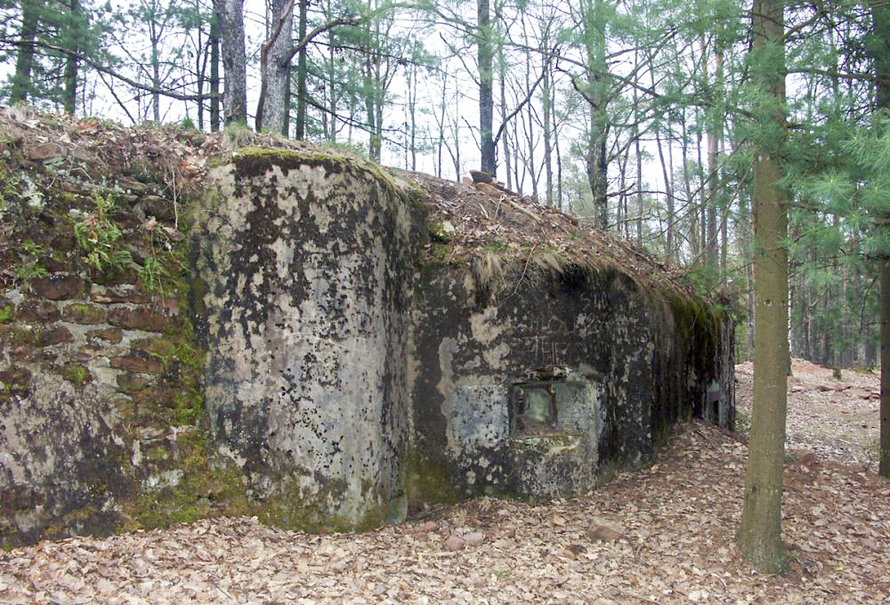 Ligne Maginot - MAIN du PRINCE 2 (Blockhaus pour arme infanterie) - Vue d'ensemble de la façade depuis la gauche - Pascal LAMBERT