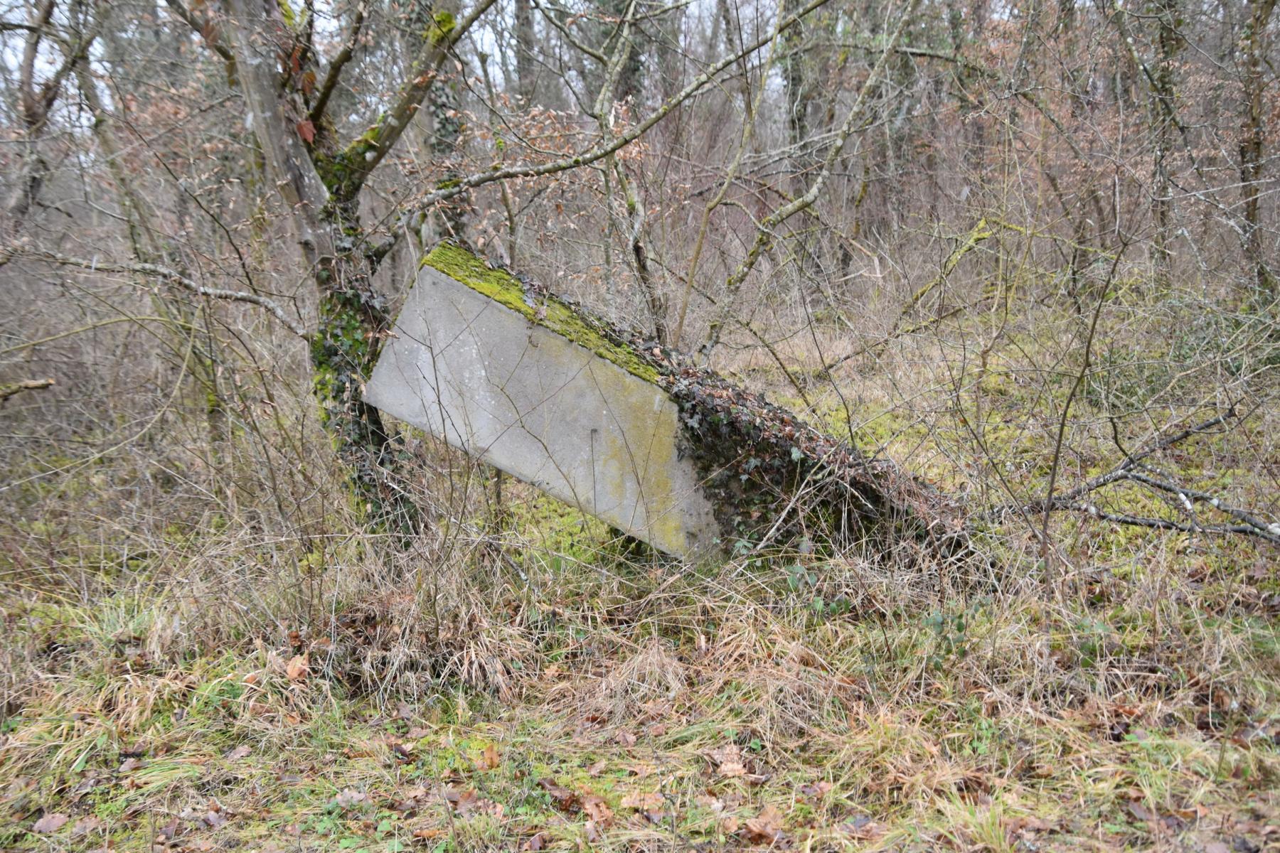 Ligne Maginot - BAERENRAIN - (Casernement) - Portail sud - Daniel Froehly