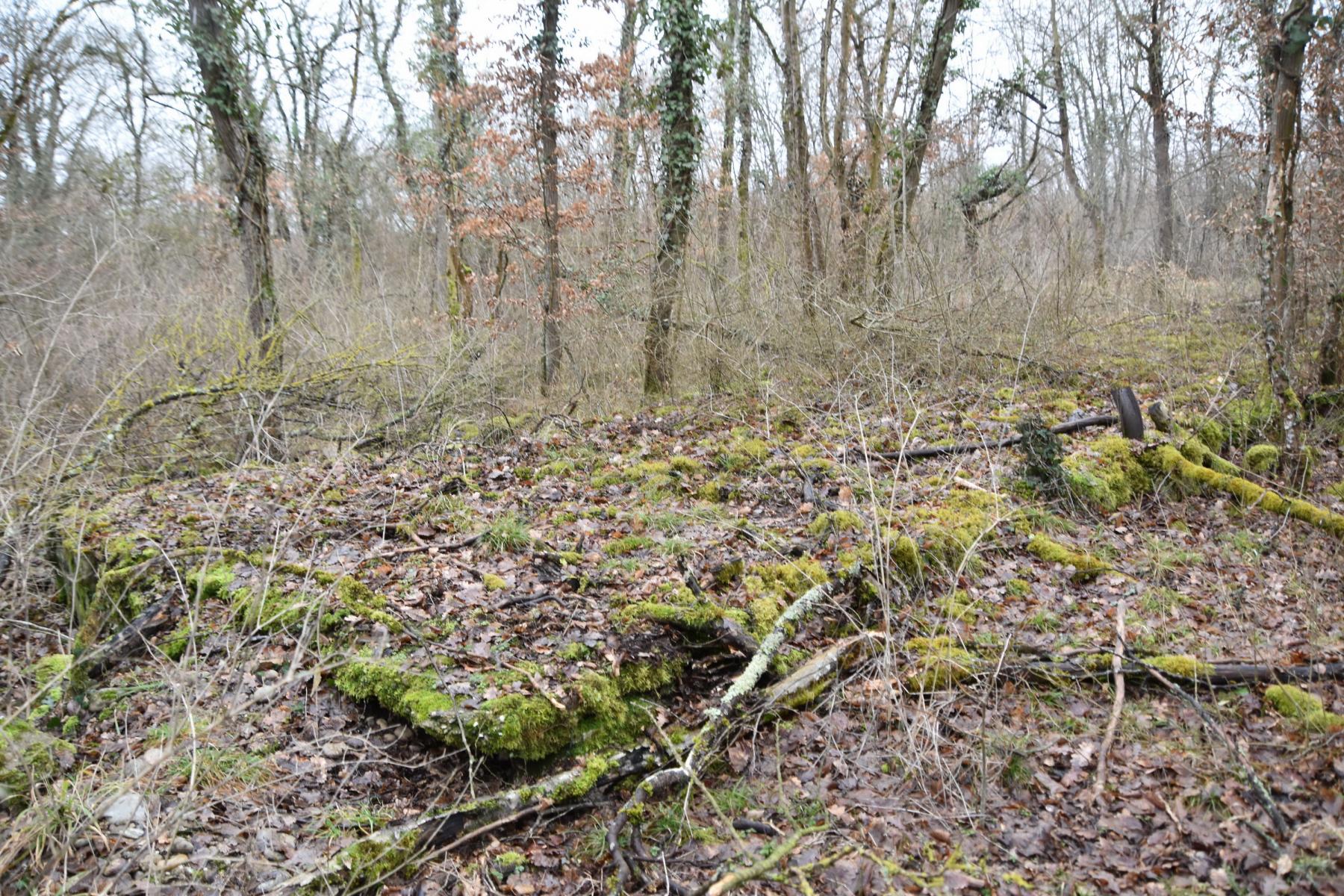 Ligne Maginot - BAERENRAIN - (Casernement) - Soubassement de la Gd baraque - Daniel Froehly