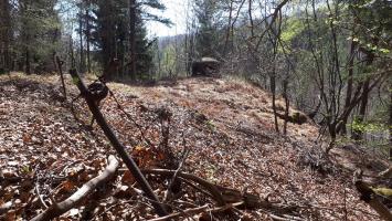 Ligne Maginot - NONNENHARDT N°1 - (Blockhaus pour arme infanterie) - Restes du réseau barbelés et cloche GFM