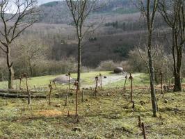 Ligne Maginot - FOUR A CHAUX - FAC - (Ouvrage d'artillerie) - Bloc 2
Réseau barbelés