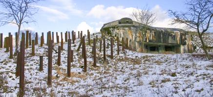 Ligne Maginot - FOUR A CHAUX - FAC - (Ouvrage d'artillerie) - Bloc 6
Réseau de rails antichar