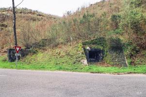 Ligne Maginot - WEIHERSTHAL Sud (Blockhaus pour canon) - Vue d'ensemble depuis la route de Neunhoffen