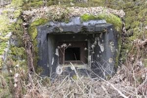 Ligne Maginot - WEIHERSTHAL Sud (Blockhaus pour canon) - Créneau pour canon antichar