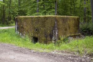 Ligne Maginot - CB246 - HELMREICH 1 - (Blockhaus pour arme infanterie) - 