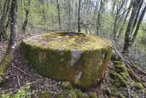 Ligne Maginot - DT24B - (Cuve pour arme d'infanterie) - 