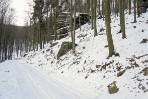Ligne Maginot - BUNSCHEL Haut (Observatoire d'artillerie) - 