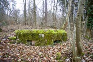 Ligne Maginot - M25 - FINSTERTHAL 2 - (Blockhaus pour arme infanterie) - 