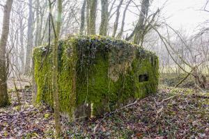 Ligne Maginot - MBA13 - (Blockhaus pour arme infanterie) - 