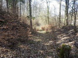 Ligne Maginot - C2 - SCHMELTZBACH 2 - (Blockhaus pour canon) - Le chemin creux permettant le transport du canon depuis la route